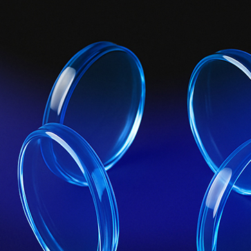 What Can We Know About 2026?